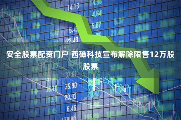 安全股票配资门户 西磁科技宣布解除限售12万股股票
