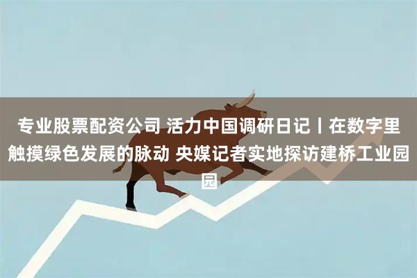 专业股票配资公司 活力中国调研日记丨在数字里触摸绿色发展的脉动 央媒记者实地探访建桥工业园