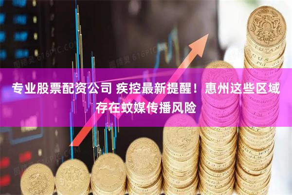 专业股票配资公司 疾控最新提醒！惠州这些区域存在蚊媒传播风险